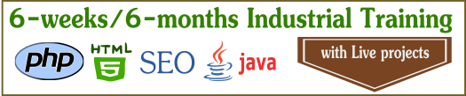 6 Week/Months Project based Industrial Training in Rohtak