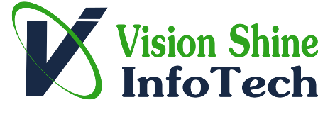 Vision Shine Infotech